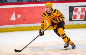 Norske Talangen Brandsegg-Nygård Drömmer om NHL