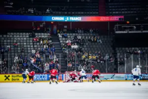 MJÖRNBERG: Publikutmaningarna i Hockey-VM och Hockeyettan